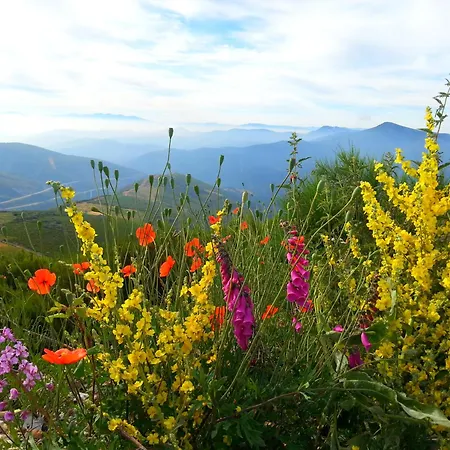 Casa Carolo Maison d'hôtes 3*