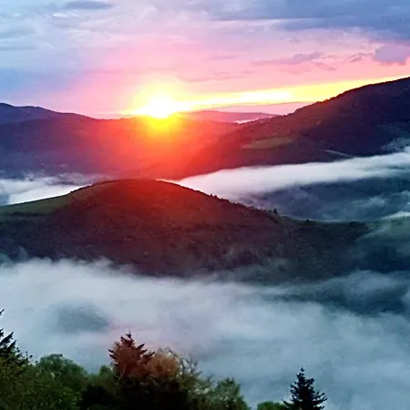 Guest house Casa Carolo