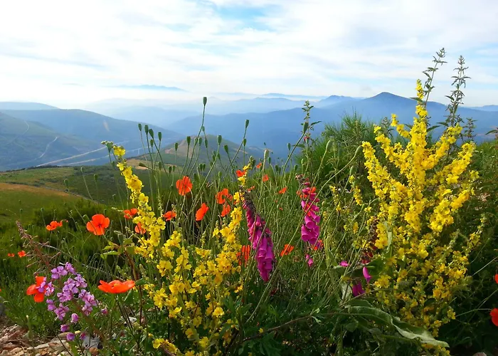 Casa Carolo Πανσιόν 3*